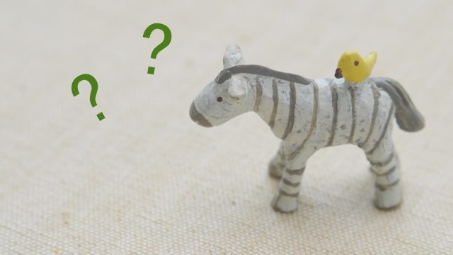 塾と通信教育を比較 中学生どっちがいい？